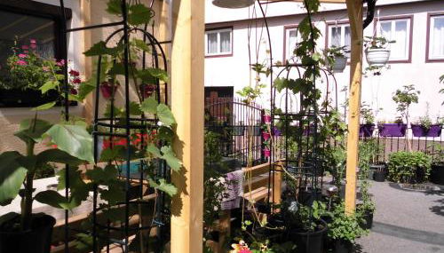 Ferienwohnungen Calwer Höfle - Foto 4