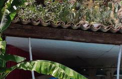 Gîte cévenol avec SPA et Piscine privatifs - Foto 21