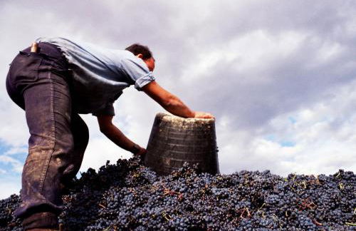 Apartamento Golf Rioja Alta - Foto 30