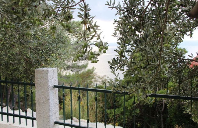 Apartment Tafra 4 - Foto 6