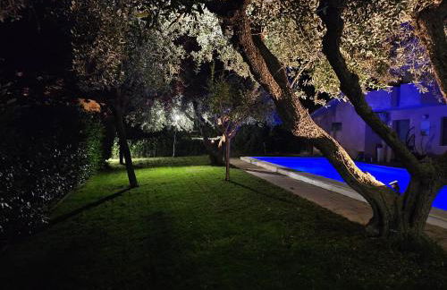 Relais tra gli Ulivi - Photo 7