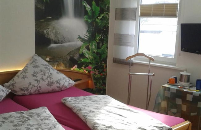 Pension & Ferienwohnung Schweinsberg - Foto 8