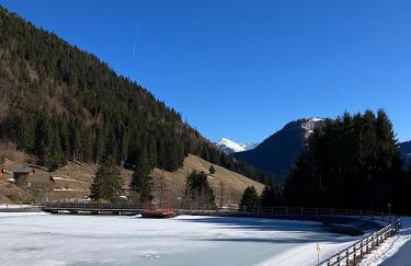 Chalet Carre - Foto 25