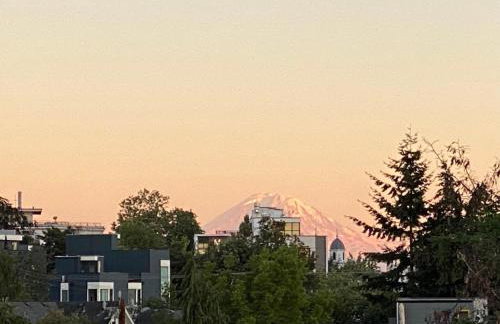 Perch - Urban Reflection 13 - Foto 39