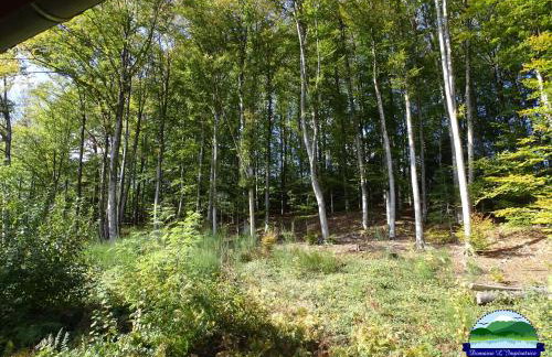 Domaine L'Impératrice - Foto 19