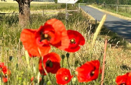 Ferienwohnungen Landliebe "Auszeit mit Wohlgefühl" - Foto 43