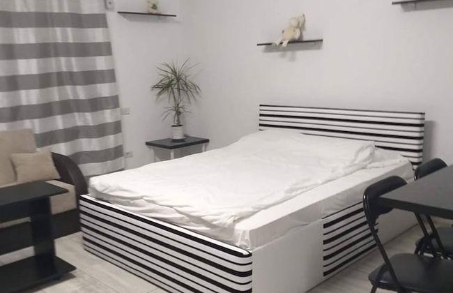 Impeccable 1-bed Studio in Roșu - Foto 4