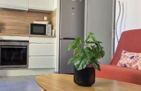 Le 36 - Maison COSY - Jardin privatif - Foto 4