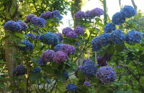 La Parenthese Bois de Cise - Foto 44