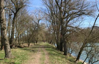 Aparthotel nah dran - Foto 39