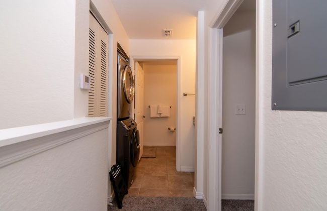 Venetian Beauty - Photo 10