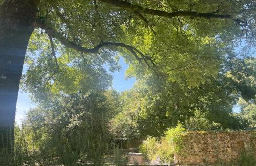 Forest House in Perigord Vert - Foto 12