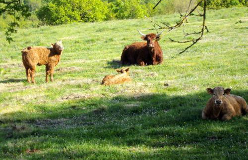 Holiday Home Cuzac by Interhome - Foto 62