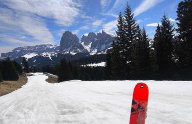 SiLENA Dolomites - Foto 18