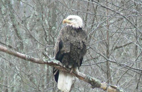 Where Memories Are Made - Foto 64