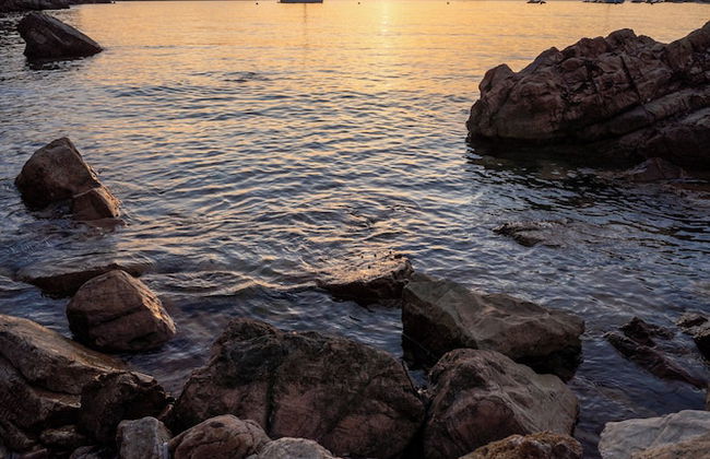 Elbitat Homes - Foto 73