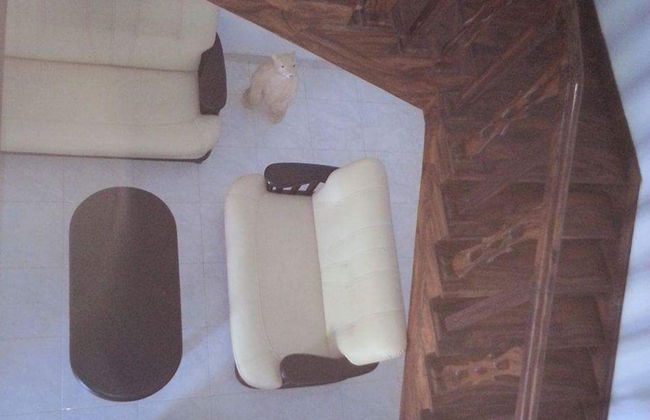 The European Gate - Foto 14