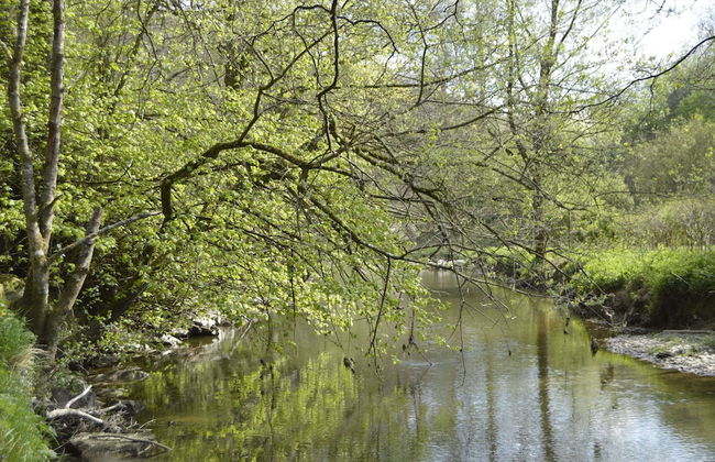 Pet-friendly Escape in Fauvillers - Foto 59