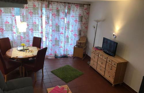 Ferienhäuser Schlossberg - Foto 69