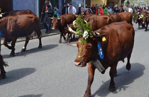 Ferienwohnung Pusteblume - Foto 23