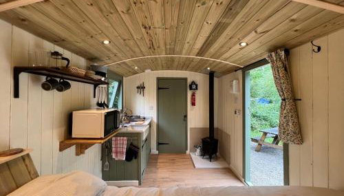 Cosy Shepherd's Hut with Hot Tub - Foto 3