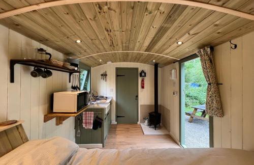 Cosy Shepherd's Hut with Hot Tub - Foto 3