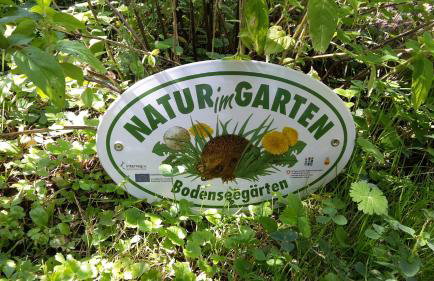 Ferienwohnung am Sonnenberg - Foto 18