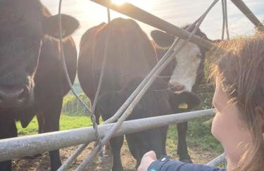 The Hollies, Dorset - Foto 52