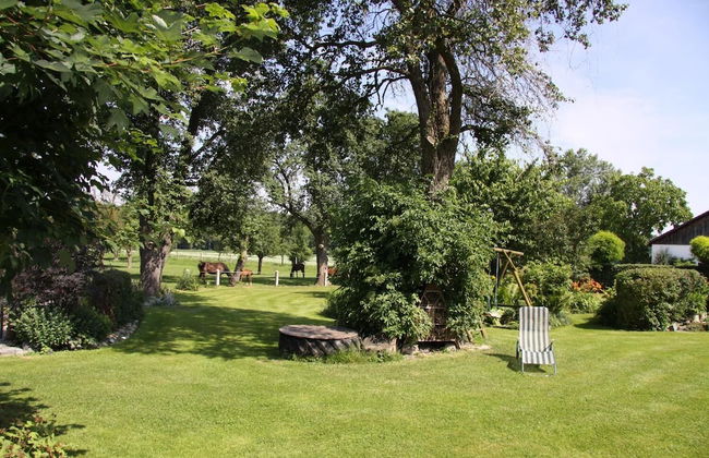 Ferienhof Fenzl - Foto 22