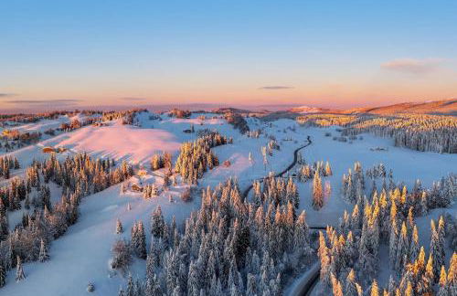L'Orgelétaine : Grande Maison au milieu des Lacs du Jura - Foto 32