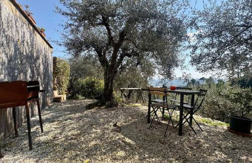 Rivolta home - Foto 9