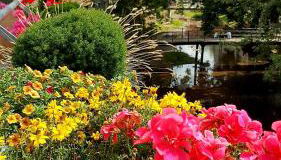 Altstadtapartment an der Krämerbrücke Nr.2 - Foto 2