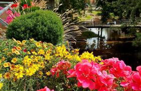 Altstadtapartment an der Krämerbrücke Nr.2 - Photo 2