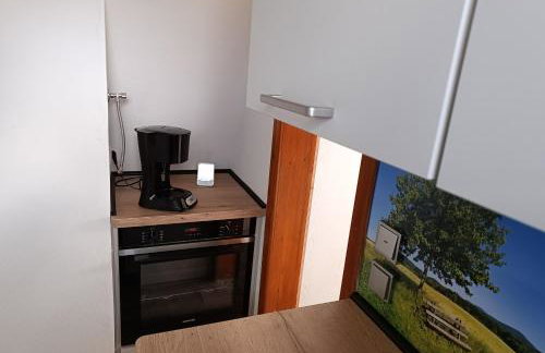 Ferienhaus in Salem am Kummerower See - Foto 16