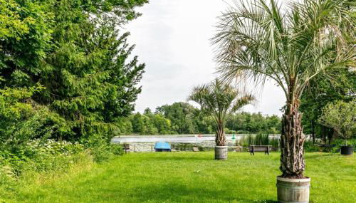 idyllische Lage direkt am See - Photo 3, Garden, Garden view