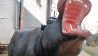 Happy Hippo Haus - Foto 5