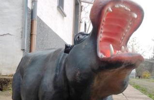 Happy Hippo Haus - Foto 5