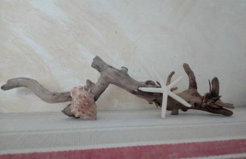 L'Azzurro e il Blu' - Foto 12