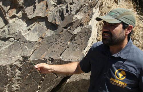 Casa CÔA - Casas de Villar - Rural Experience - Foto 42