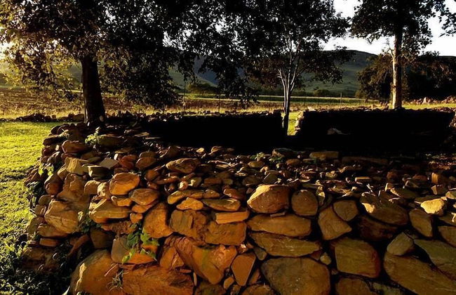 Caracal Lodge - Foto 38