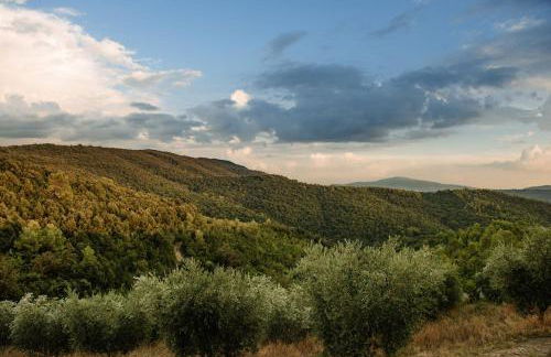 Tenuta di Forte Sorgnano - Foto 22