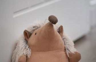 Hedgehog Cottage - Foto 35