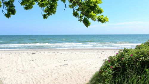 Strandresort Rex Rugia Ferienwohnung 10-1 mit Sauna- und Schwimmbadnutzung im AHOI Sellin - Foto 2