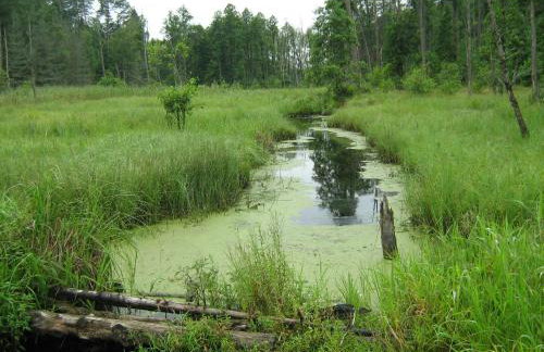 Mazurski Raj - Komfortowy dom nad jeziorem - Foto 50