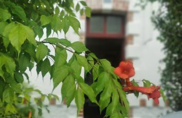 Au Coin Fleuri - Foto 30