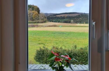 Guesthouse Wallenborn - Appartement - Foto 10