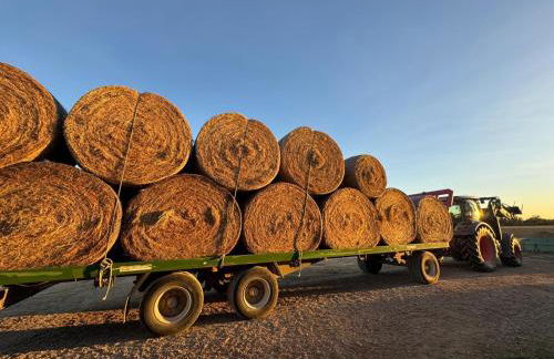 Mas Les Arrabassades - Foto 21