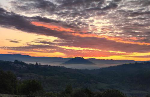 Villa Fiore Spinovci - Foto 21