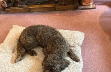 Laburnum Cottage Broadway - Foto 12