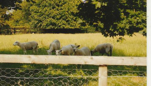 Bank Farm Cottages - Foto 4